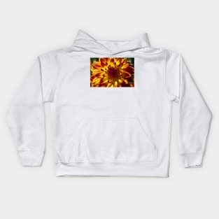 Wonderful Red Yellow Dahlia Close Up Kids Hoodie